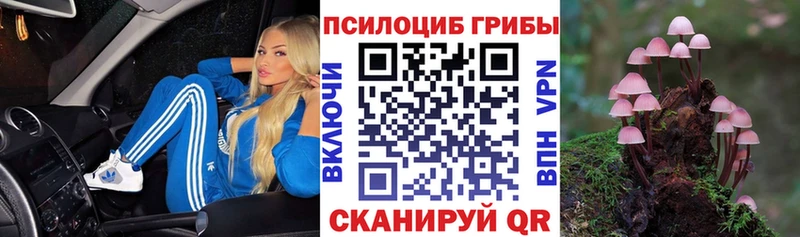 купить наркотики сайты  Оханск  Псилоцибиновые грибы MAGIC MUSHROOMS 